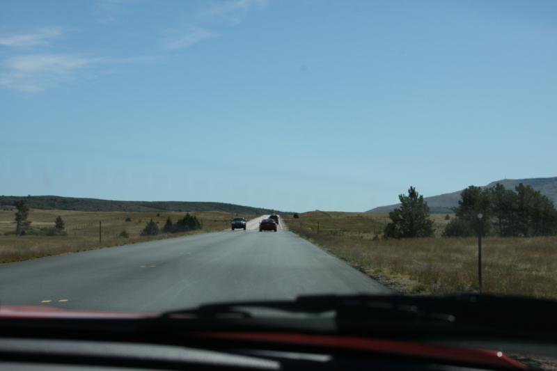 IMG_9225_small.