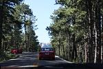 IMG_9276_small.