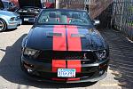 IMG_8953_800x533.